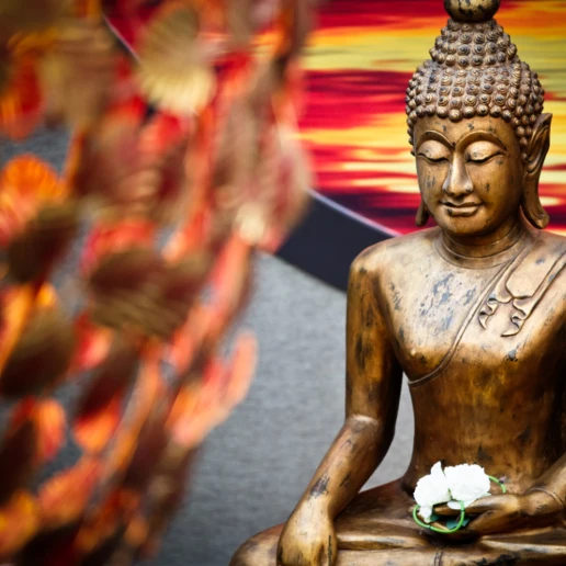 Thermen Bussloo Hotel buddha 1 500