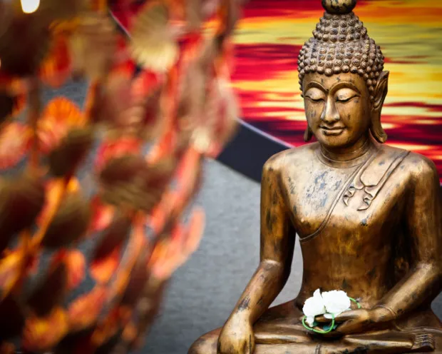 Thermen Bussloo Hotel buddha 1 500