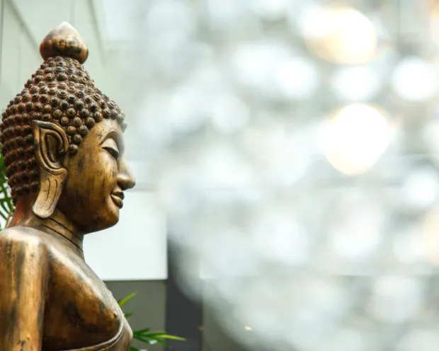 Thermen Bussloo hotel buddha 3 250
