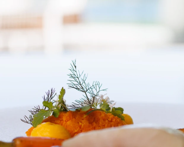 Thermen bussloo restaurant Intens fotografie mei 2026 (58)