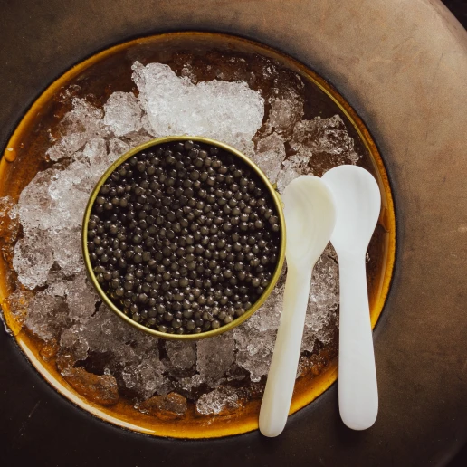 Thermen bussloo restaurant Intens fotografie november 2025 (6)