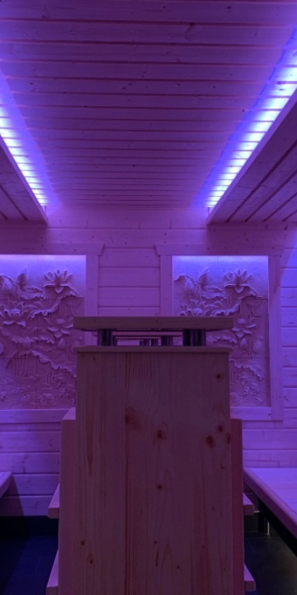 Thermen Bussloo sauna infrarood Laconium 250