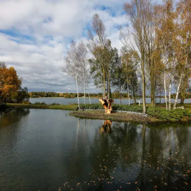 Thermen Bussloo tuin uitzicht 1000