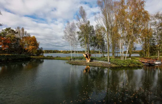 Thermen Bussloo tuin uitzicht 1000