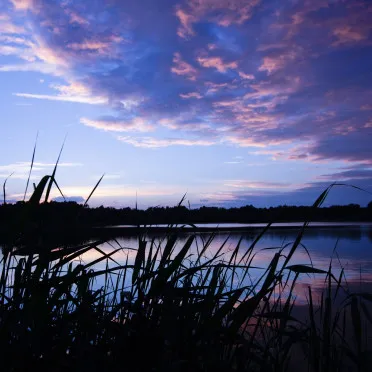 Thermen Bussloo tuin uitzicht 1000