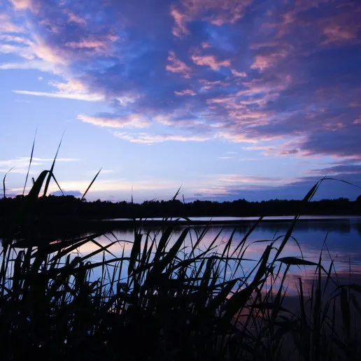 Thermen Bussloo tuin uitzicht 1000