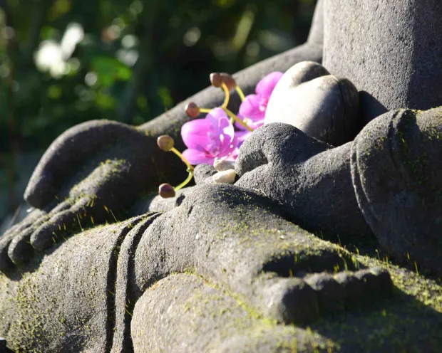 Thermen Bussloo zentuin (1)