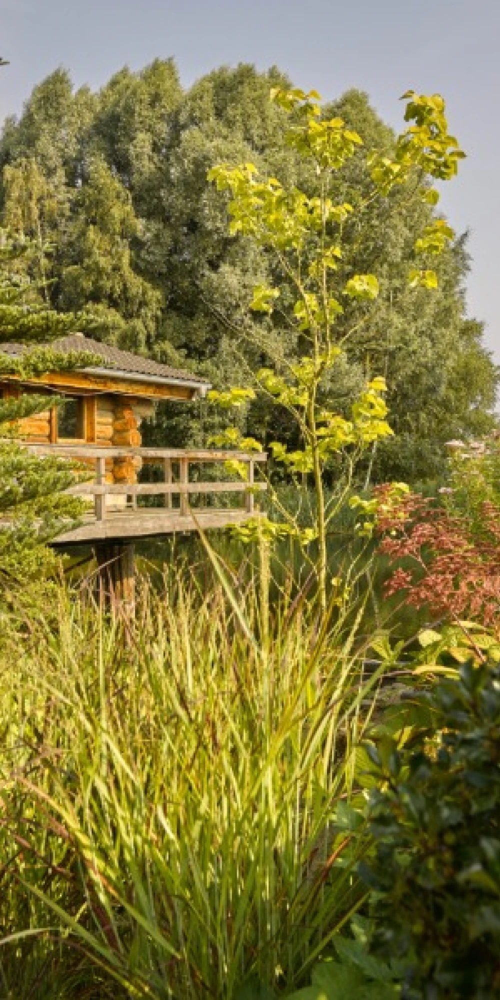 Thermen bussloo tuin 2 250