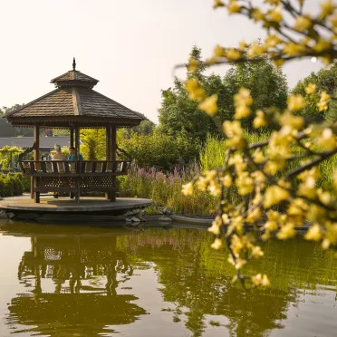 Thermen bussloo tuin 4 1000