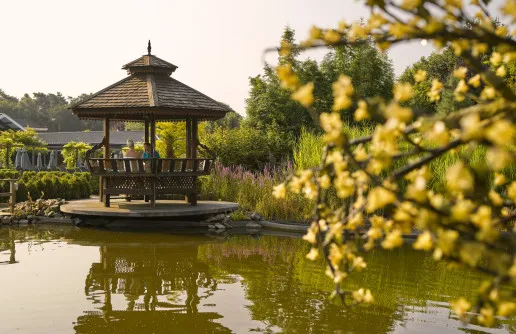 Thermen bussloo tuin 4 1000